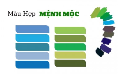 Mệnh Mộc hợp màu gì, kỵ màu gì? Cách chọn màu tương sinh, tương hợp